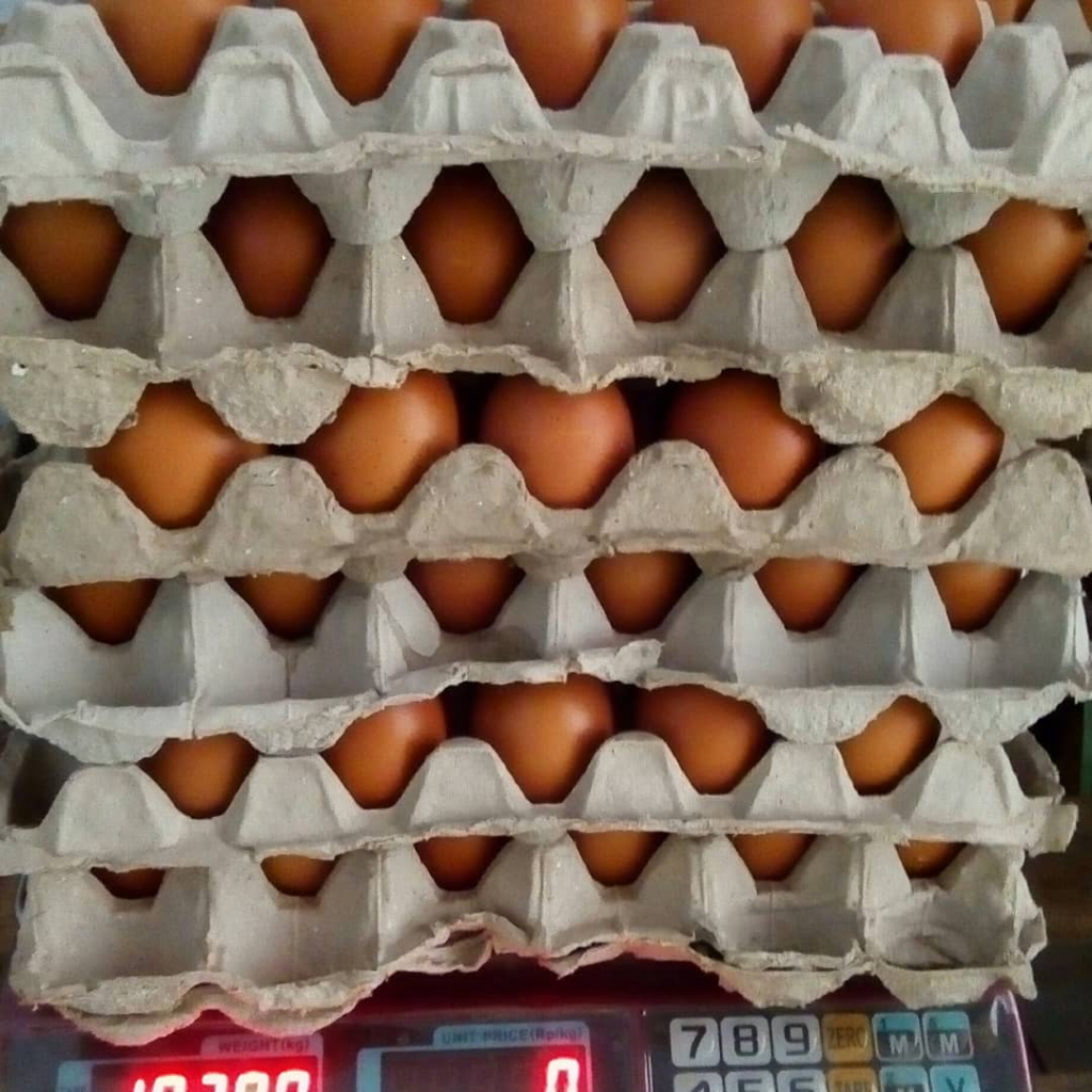 Telor