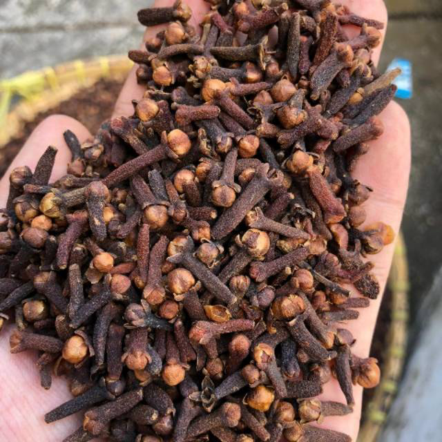 Jual Cengkeh Kering Termurah