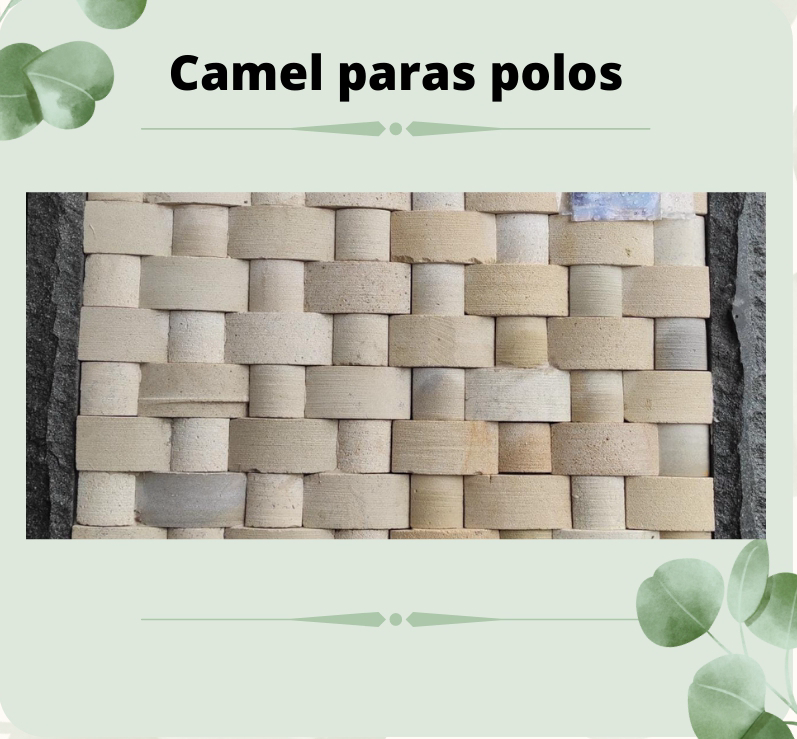 Ca Mel Paras Polos