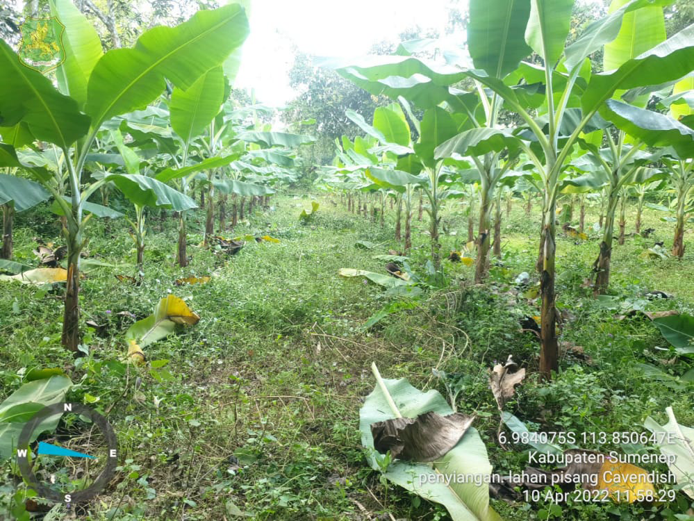 BUMM Agriculture