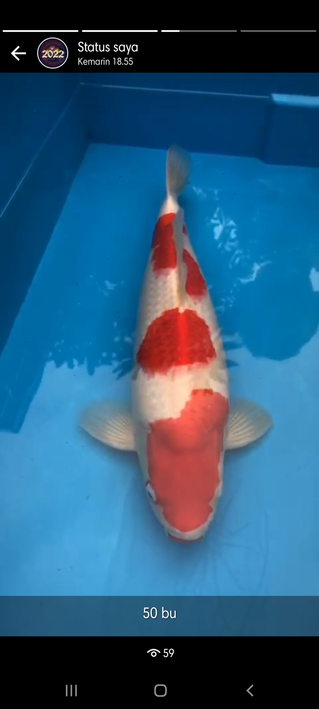 Kohaku Tosai