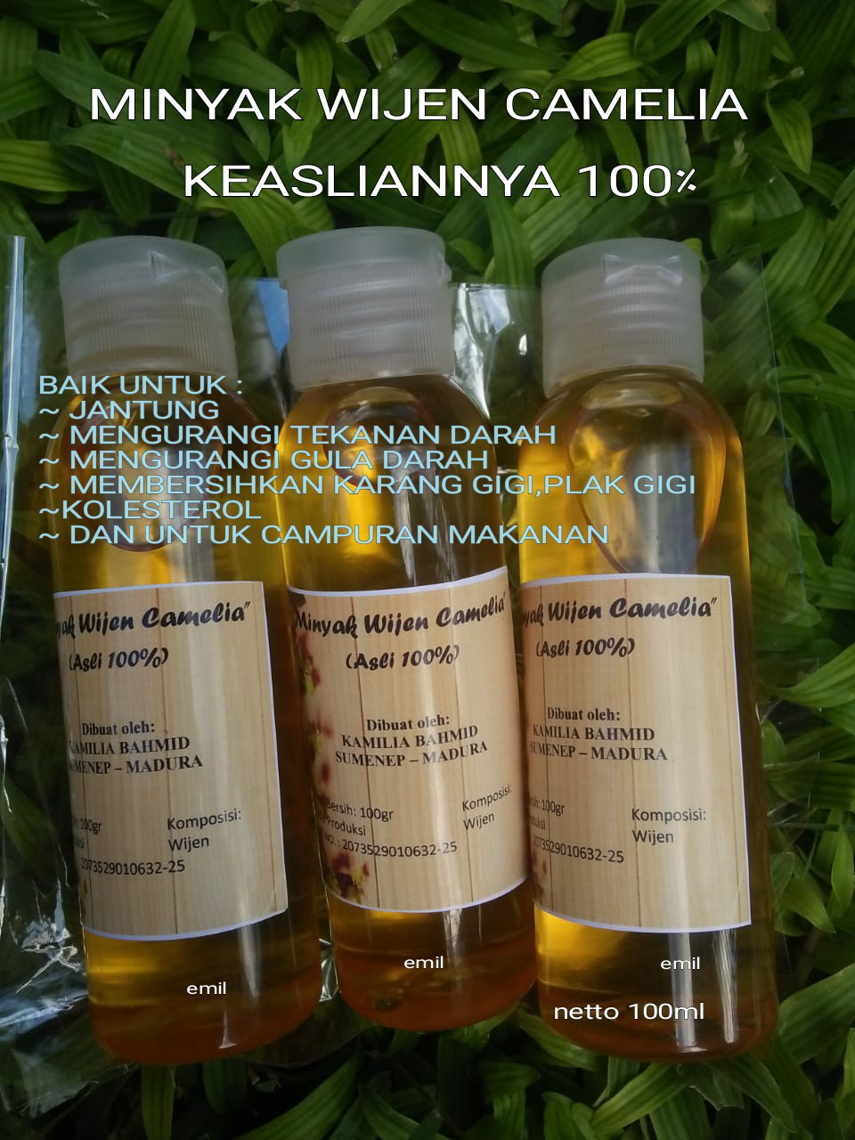 MINYAK WIJEN ASLI